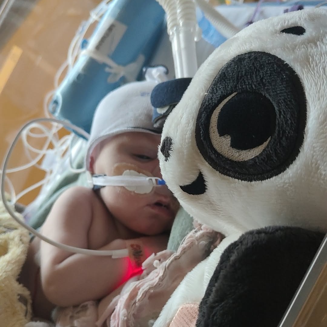 Photo de Jules COLLIN