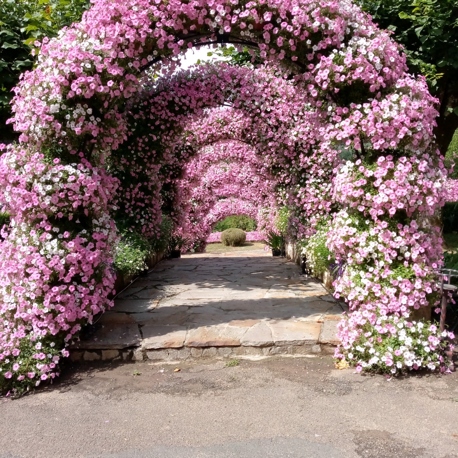 Photo de Marie-Claude DAOUT