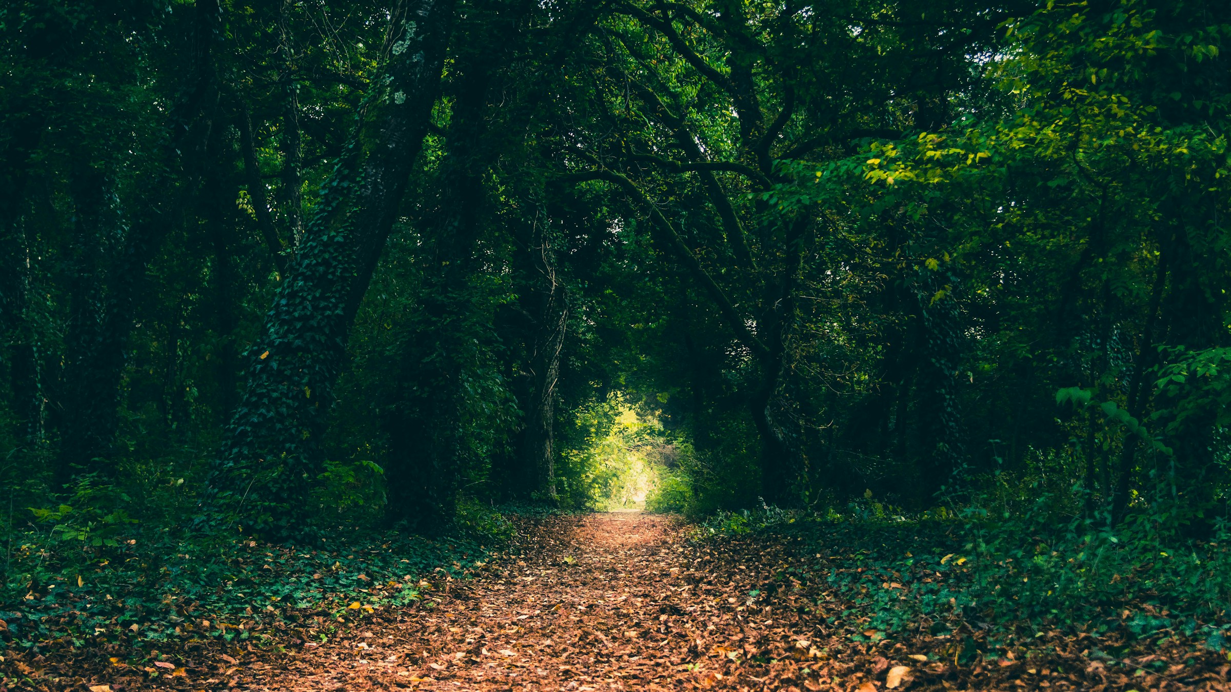 Photo de Daniel RICOUX